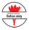 Šafrán siaty